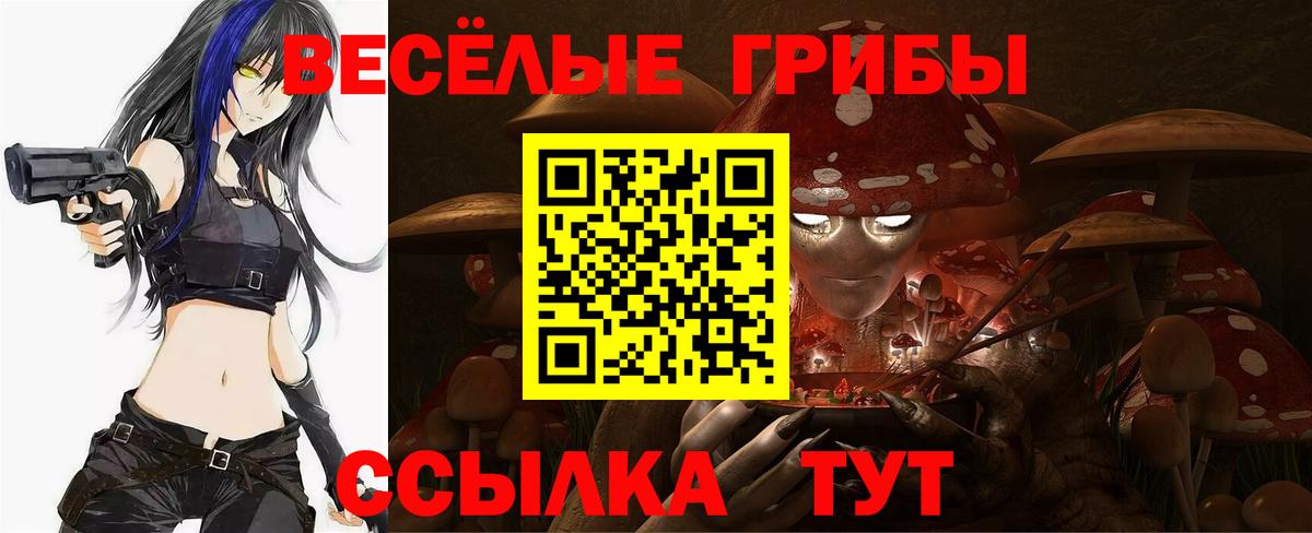 Мыски  Псилоцибиновые грибы Psilocybe  Вход с VPN  Псилоцибиновые грибы прущие грибы 